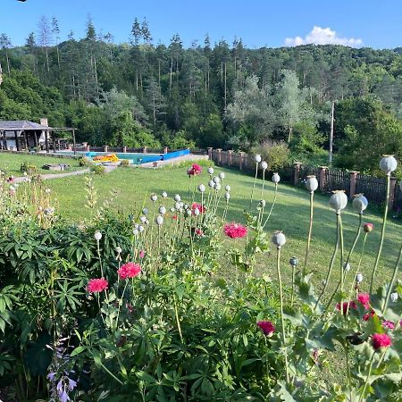 Agriturismo Hidden Paradise Villa Trjavna Exteriör bild
