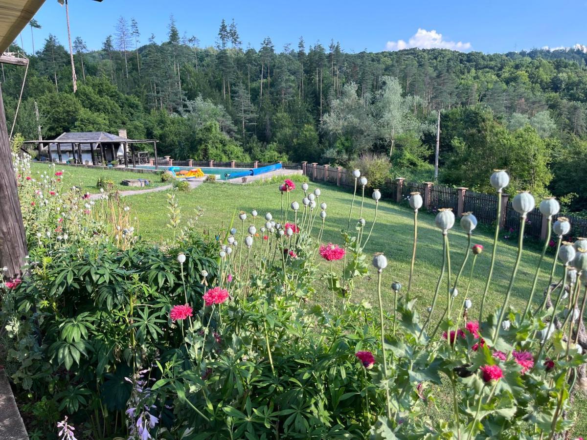 Agriturismo Hidden Paradise Villa Trjavna Exteriör bild