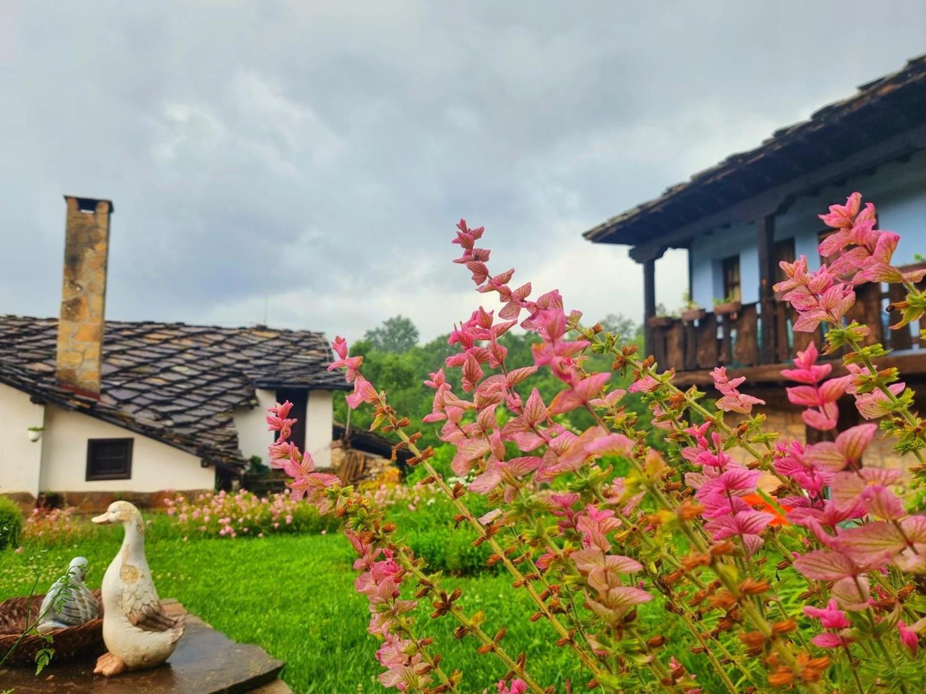 Agriturismo Hidden Paradise Villa Trjavna Exteriör bild