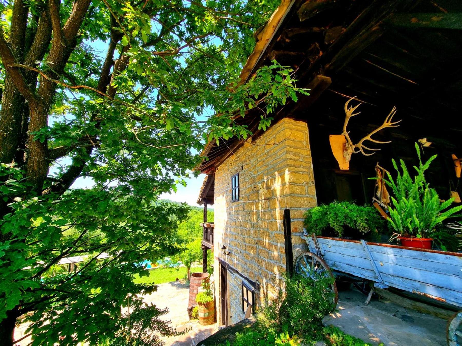 Agriturismo Hidden Paradise Villa Trjavna Exteriör bild
