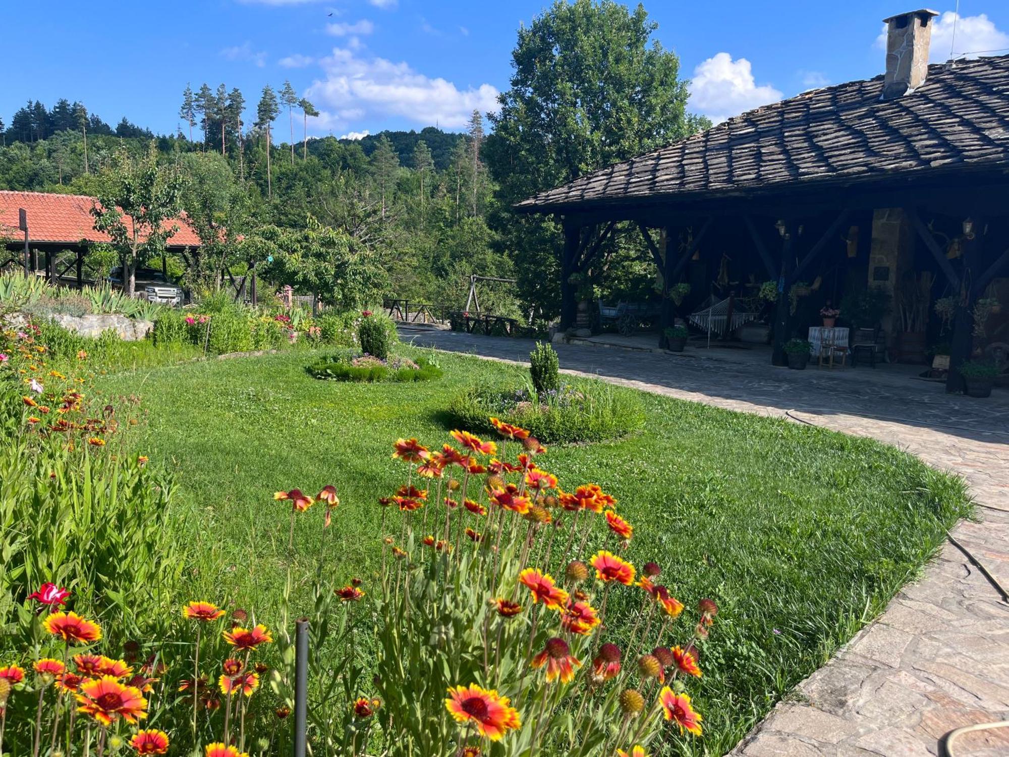 Agriturismo Hidden Paradise Villa Trjavna Exteriör bild